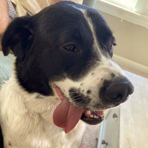 Meet your Posher, Carrie